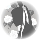 No.347　能「安達原／黒塚」ロンギイメージ（日陰の糸の冠）